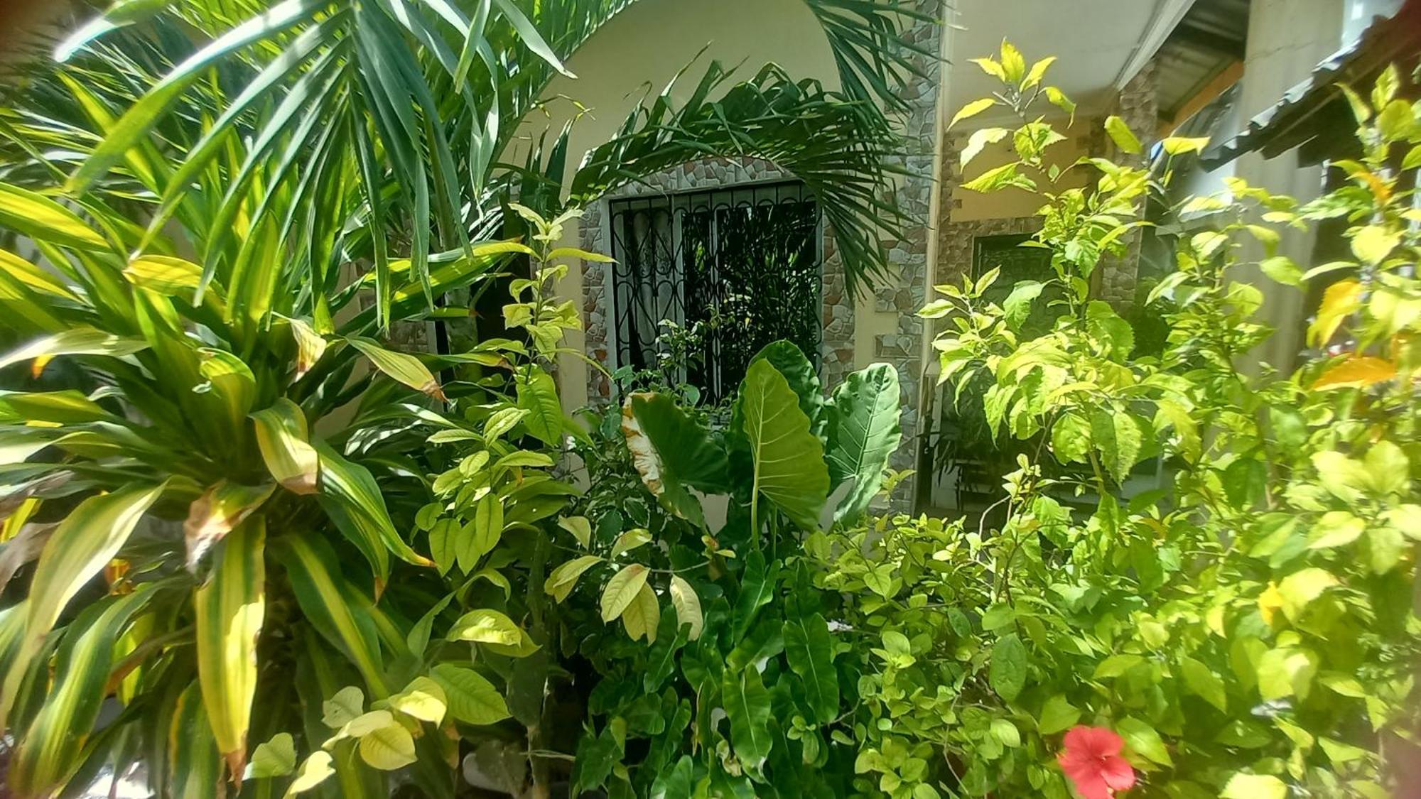 Mount Zion Guest House, Mtwapa Mtomondoni Mombasa Dış mekan fotoğraf