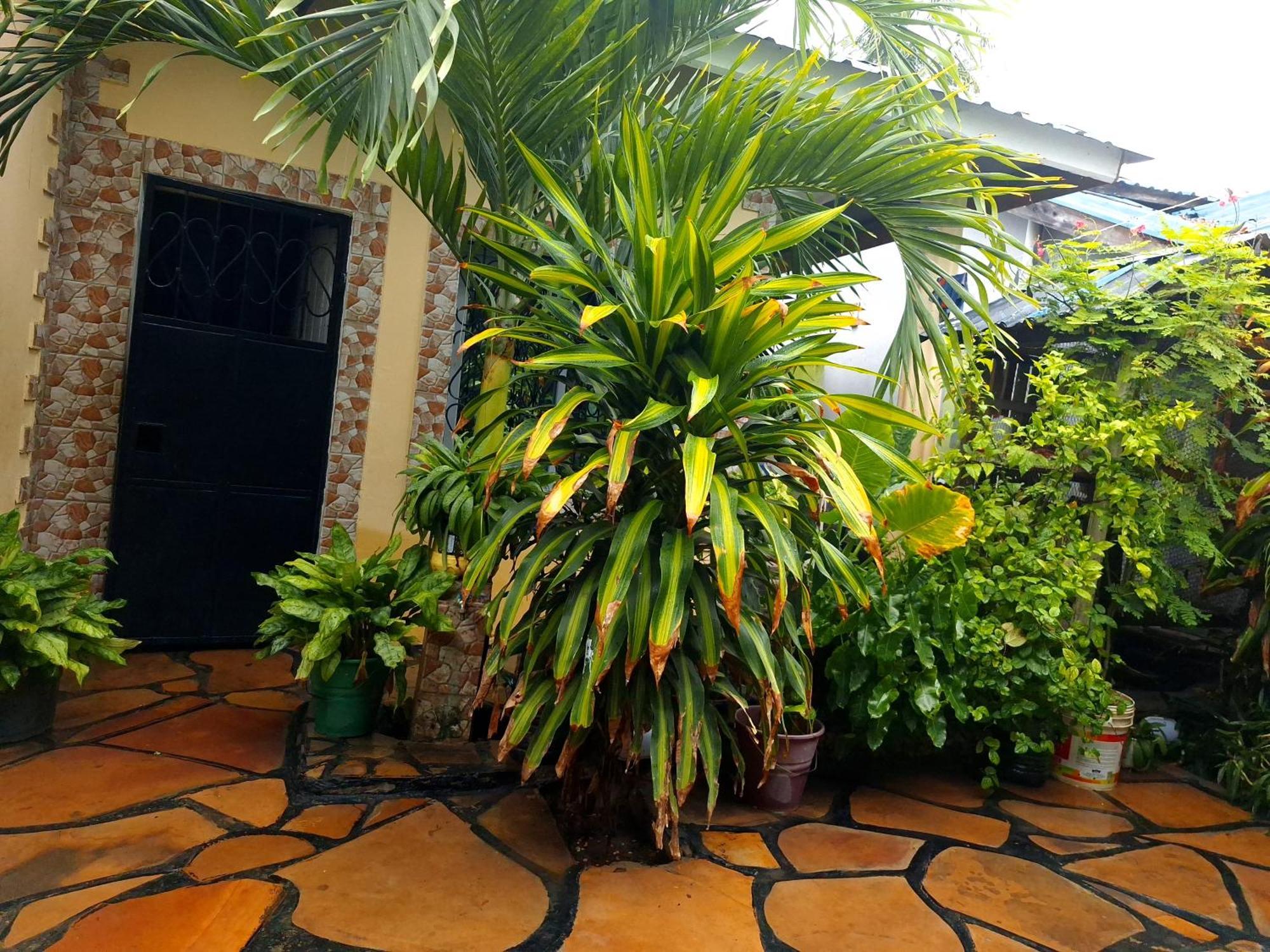 Mount Zion Guest House, Mtwapa Mtomondoni Mombasa Dış mekan fotoğraf